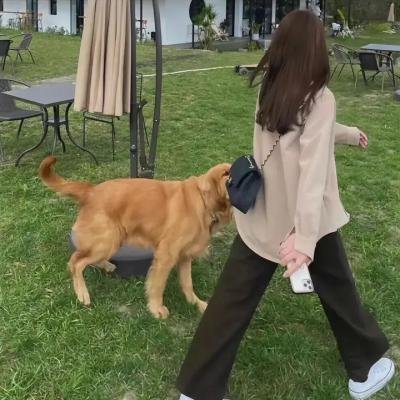 搞定岳父大人